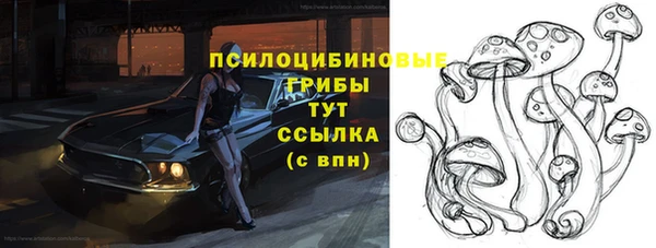 шишки Карталы