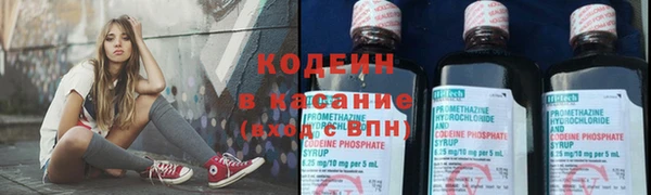шишки Карталы