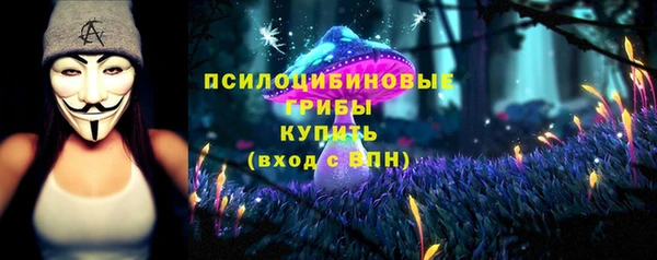 a pvp Каменногорск