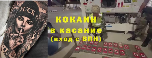шишки Карталы